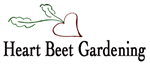 Heart Beet Gardening