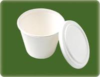 Bagasse Bowl