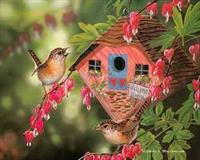 Eco-friendly Wren Houses