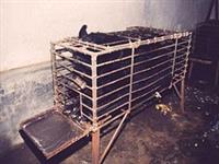 End Bear Bile Farming