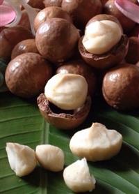 Health Benefits of Macadamia Nuts