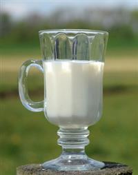 Health Benefits of Raw Milk