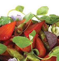 Healthy Red Jewel Salad Recipe