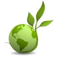 Need for Green Business Leaders