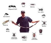 Organic Pest Control Treatment