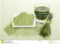 Organic Wheat Grass Powder Health