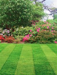 Sustainable Lawn Care