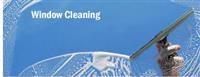 Sustainable Window Cleaning Service