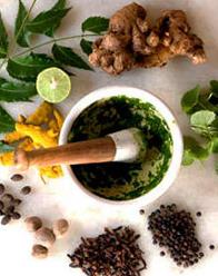 What is Naturopathic Medicine